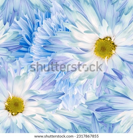 Seamless floral  background. Flowers  chrysanthemums  and petals peonies. Close up.