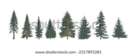 Vintage nature elements composition with dark pines trees silhouettes