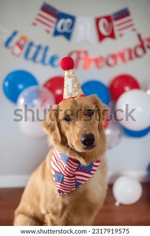Patriotic Dog Fourth of July Dog Birthday
