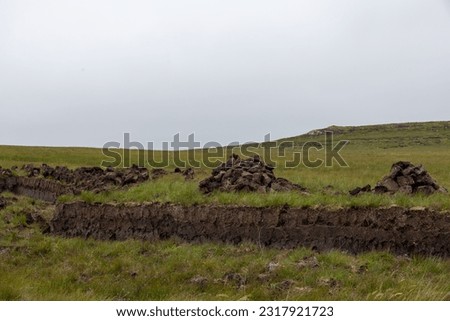Fresh cut. wet and damp peat slices drying in the summer in a Scottish moor landscape on the Isle of Lewis and Harris, outer Hebirdes. Local combustible for heating. Royalty-Free Stock Photo #2317921723