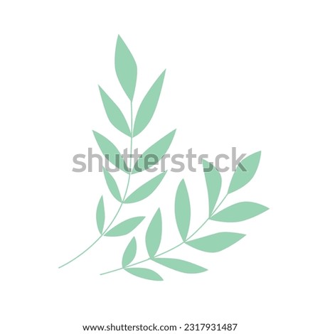 Composition of two pale green olive branches in flat style, floral clip art elements on white