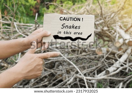 Close up hands holds paper card with words CAUTION ! Snakes in this area at pile of wood in garden. Concept, sign , notice to warn about danger area that can be bitten by snakes. Avoid to be risk area