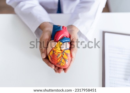 Doctor with anatomical model of human heart Cardiologist supports the heart. heart diagnose medical checkup cardiologist in examination room. Royalty-Free Stock Photo #2317958451