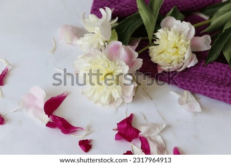 Beautiful white peonies with petals lie on the table