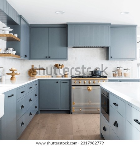 aesthetic blue cabinets modern kitchen  Royalty-Free Stock Photo #2317982779
