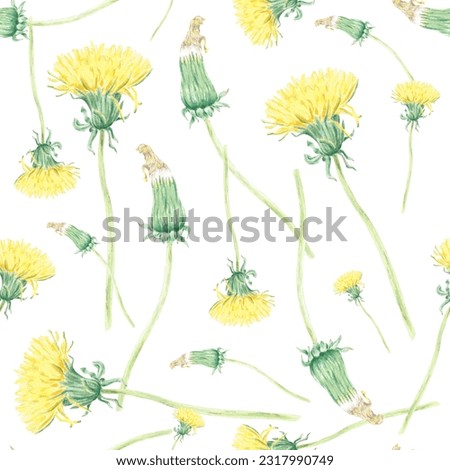 Watercolor seamless pattern dandelion hand-drawn in botanical style for use in textile, wedding packaging, holiday and nature design invitation. Wildflower for decorating cards, wallpaper, fabric