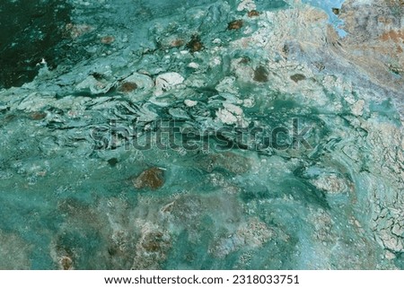 Bright blue-green algae (cyanobacteria) on water and beach sand. Close-up of a harmful algal blooms and decay. Abstract background with green toxic texture. Royalty-Free Stock Photo #2318033751