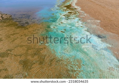 Bright blue-green algae (cyanobacteria) on water and beach sand. Close-up of a harmful algal blooms and decay. Abstract background with green toxic texture. Royalty-Free Stock Photo #2318034635