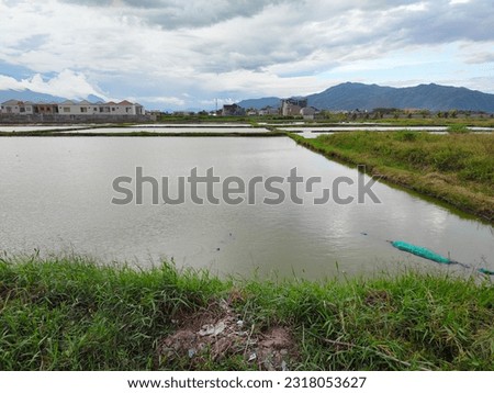 Fish pond in Gorontalo. Water on farmland and cloudy sky in Libuo Village. 