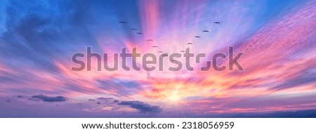A Bird Formation Silhouette Is Soaring Above The Colorful Clouds At Sunset Banner Royalty-Free Stock Photo #2318056959