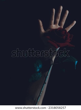 Close-up woman hand opened with a red rose in the darkness Against Black Background. Concept of passion and mystery. Copy space.