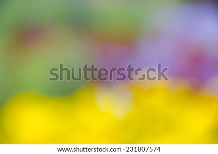 Picture shows a colorful, flowery background.