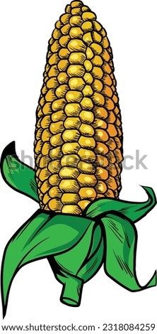 Ear of Corn isolated on a white background. Hand drawn vector illustration. Comic book style, retro, vintage illustration vector Royalty-Free Stock Photo #2318084259