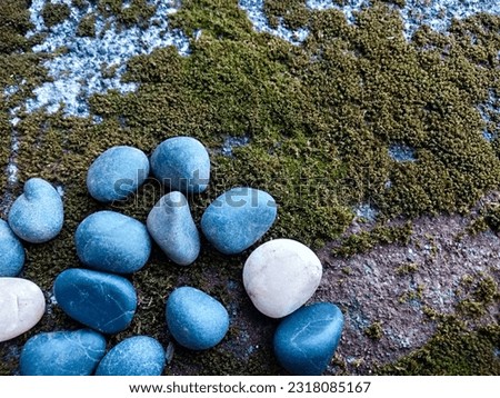 Semarang, Central Java Indonesia 2023, a collection of natural stone composition objects against a brownish green moss background, photographed early in the morning in Semarang, Central Java Indonesia