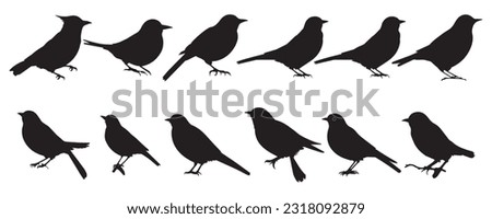 Bird's black silhouettes set. bird silhouettes. isolated on white background.