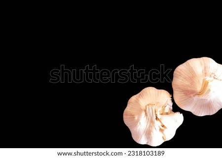 Two garlic on black background