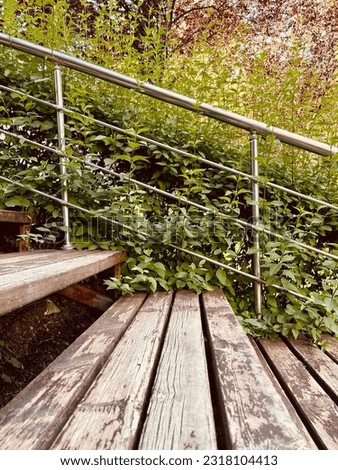 Picture of a wooden staircase inside the garden with weeds hanging on one end