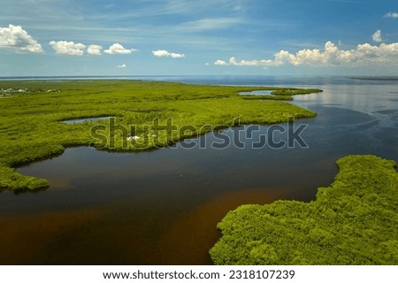 Overhead view of Everglades swamp with green vegetation between water inlets. Natural habitat of many tropical species in Florida wetlands Royalty-Free Stock Photo #2318107239