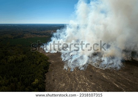 Aerial view of white smoke from forest fire rising up polluting atmosphere. Natural disaster concept Royalty-Free Stock Photo #2318107315