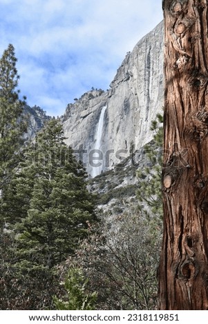 Yosemite Waterfall with Trees and Sky