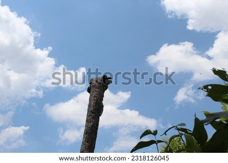 lanscape Background cloud picture, cloud picture 