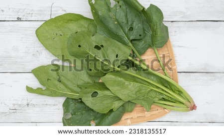 Spinach with holes eaten by worms.Vegetables with insect holes.