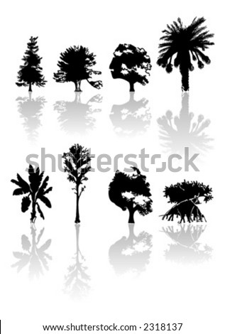 Different kind of silhouettes trees