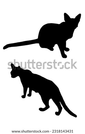 A cat silhouette refers to the outline or shape of a cat represented in a simplified, solid black form. It is typically a two-dimensional representation without any intricate details or features. 