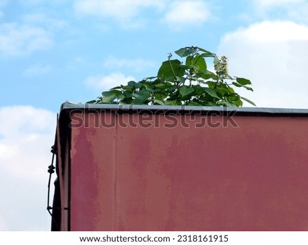 damaged roof edge and parapet detail. red metal cladding and warped metal flashing. green plant growing on the roof. lack of maintenance concept. roof upkeep and cleaning. blue sky and white clouds.  Royalty-Free Stock Photo #2318161915