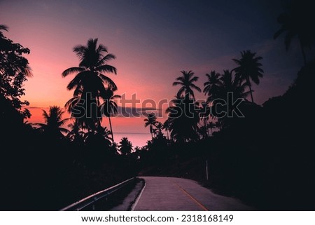 Palm trees and sky after sunset
