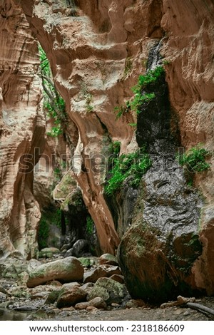 Avakas Gorge in Paphos District. Nature trail Royalty-Free Stock Photo #2318186609