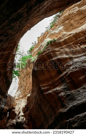 Avakas Gorge in Paphos District, a popular tourist destination with a stunning nature trail Royalty-Free Stock Photo #2318190427