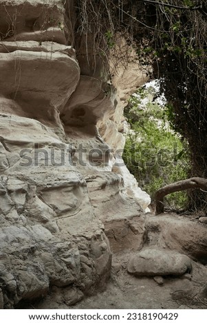 Avakas Gorge in Paphos District, a popular tourist destination with a stunning nature trail Royalty-Free Stock Photo #2318190429