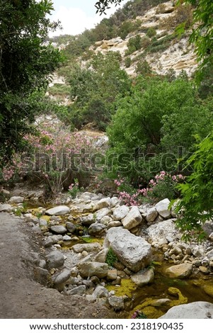 Avakas Gorge in Paphos District, a popular tourist destination with a stunning nature trail Royalty-Free Stock Photo #2318190435