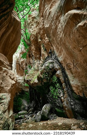 Avakas Gorge in Paphos District, a popular tourist destination with a stunning nature trail Royalty-Free Stock Photo #2318190439