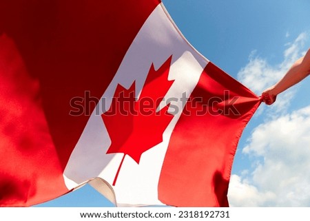 Canadian flag. Flag Canada. Flag of Canada. Waving Canadian flag. Happy Canada Day background. red maple leaf. Canada day celebration. July 1. 1st of July. Canadian national day. Royalty-Free Stock Photo #2318192731