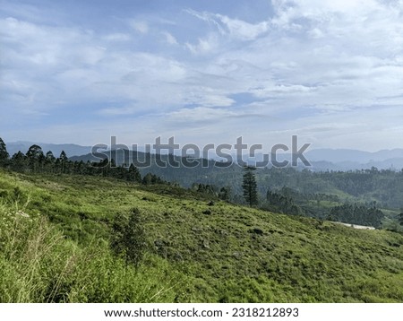 Nature view with eye caching colours - Location Sri Lanka 