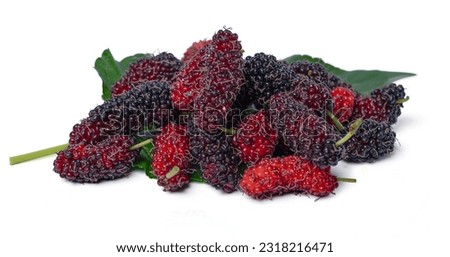 Isolated Mulberry. Top view organic Mulberry fruits with green leaves on white background. with clipping path.              