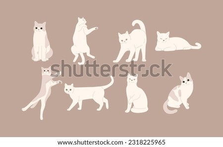 white cat cute 5 on a brown background, vector illustration.