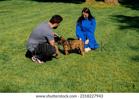 a family couple on a walk with a French bulldog dog in the park the owners are playing with cute little dog