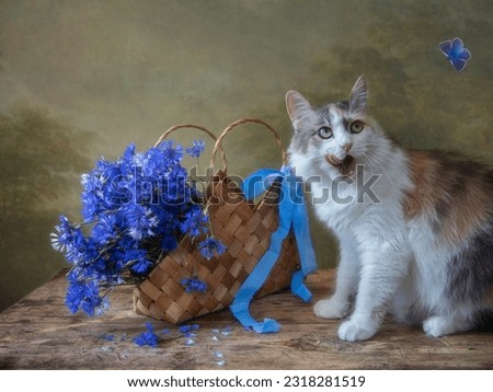 Still life with cornflowers in a basket and funny kitty