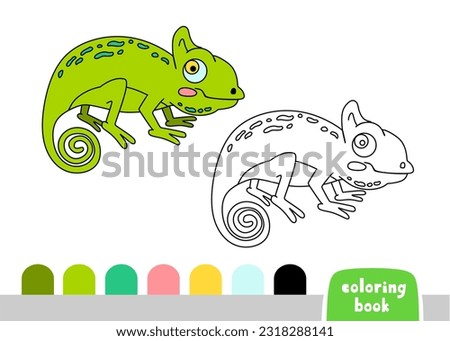 Coloring Book for Kids Chameleon Page for Books Magazines Vector Illustration 