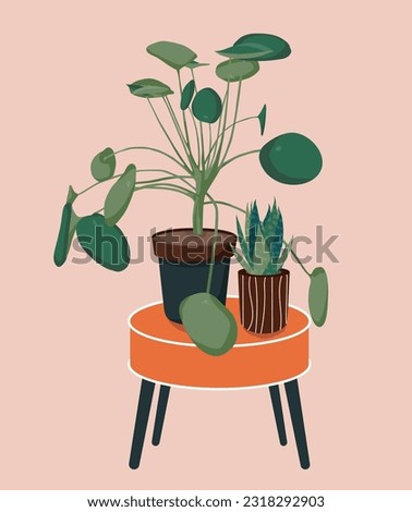 Pilea and Sansevieria houseplants on the table illustration. Scandinavian cozy home decor. Flat vector colorful cartoon icon illustration of house plant isolated.