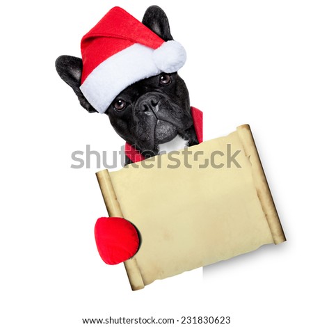 french bulldog dog dressed as santa claus behind a white empty banner or placard holding a papyrus or blank old paper