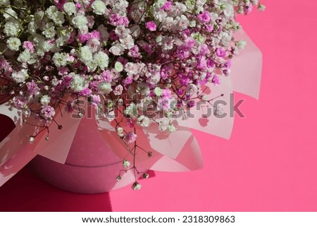 a delicate bouquet of flowers, gypsophila. background for holidays, birthday, valentine's day, love.