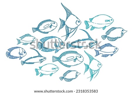 School of fish sketch set, hand drawn vector illustration. Restaurant sea food menu graphic collection. Blue lineart over white