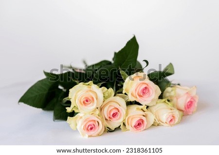 Romantic blooming tender cream roses. Bouquet for  festive events,  wedding, birthday, Valentine's Day