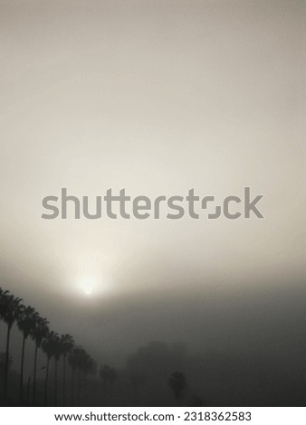 foggy sunrise on the beach