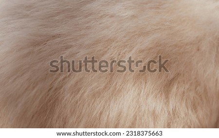 Beautiful abstract brown fur texture background