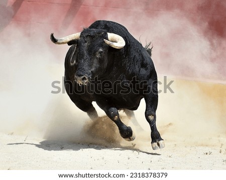 Black bull with big horns in spain Royalty-Free Stock Photo #2318378379